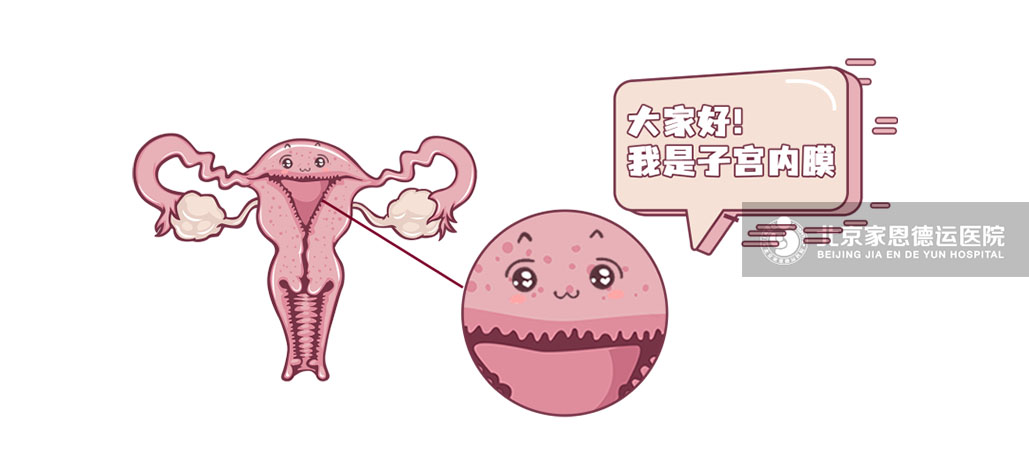 1638179898782979.jpg 1638179898782979.jpg