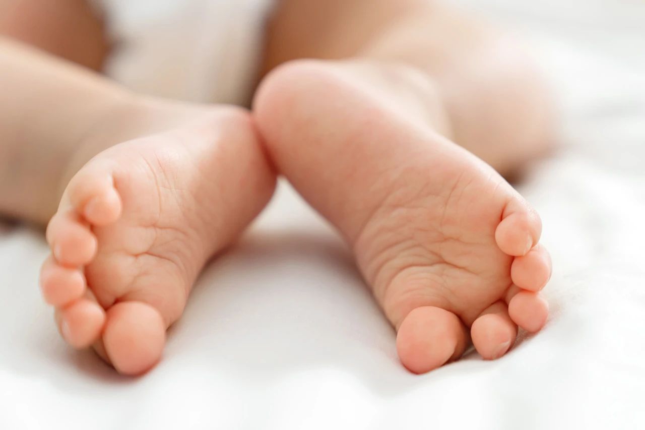 17207113165695465微(wēi)信圖片_20240711152113.jpg 微(wēi)信圖片_20240711152113.jpg