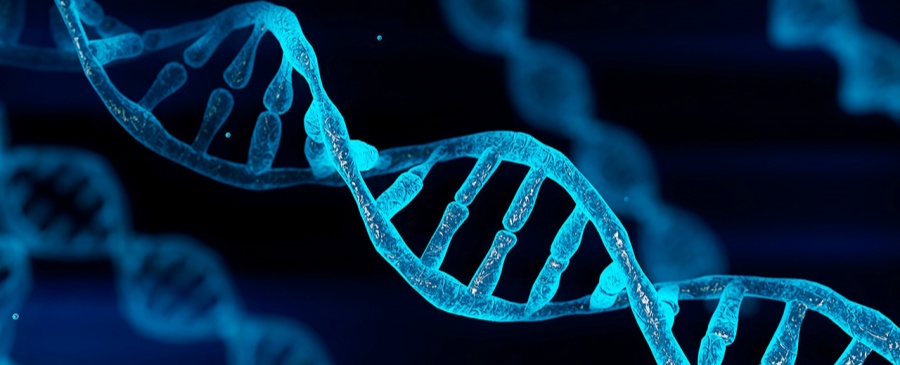 1747407421888307517193277836726596遺傳基因檢測_副本.jpg 17193277836726596遺傳基因檢測_副本.jpg