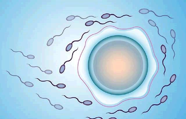 17513679506073337下(xià)載.jpg 下(xià)載.jpg